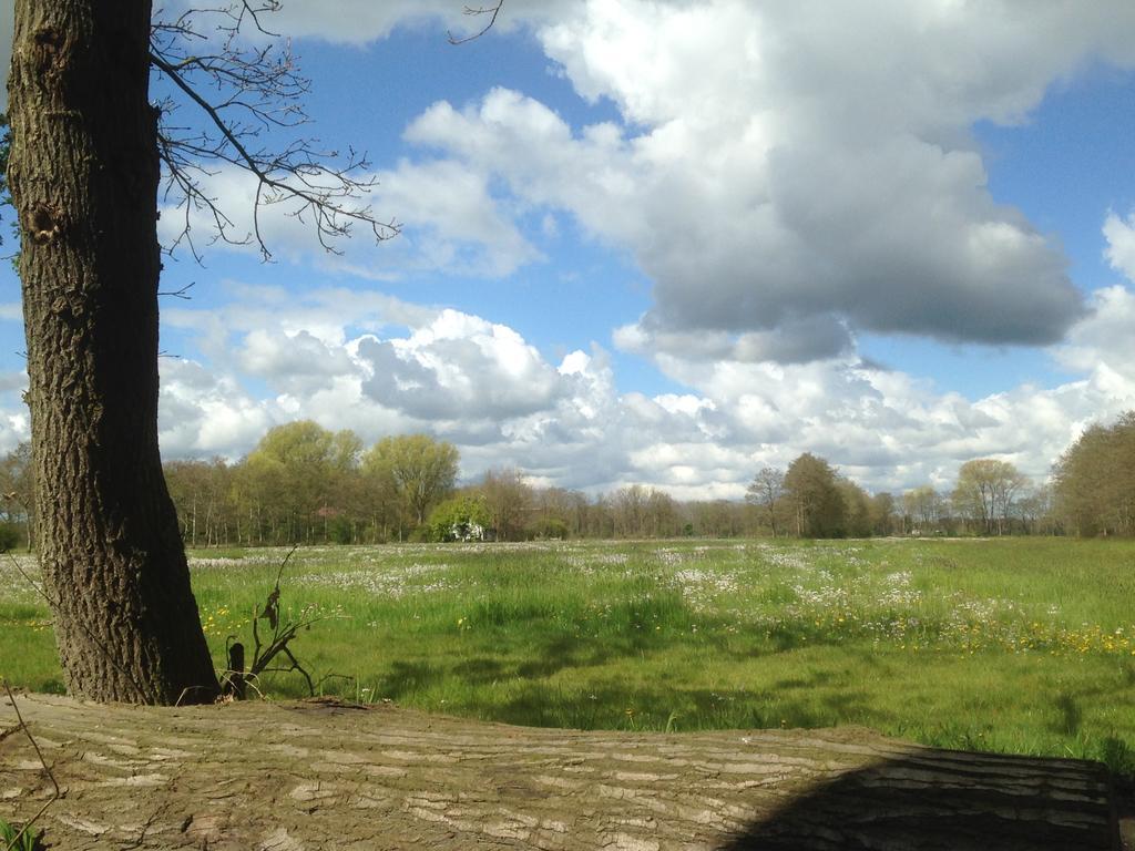 Bij En Boom Bed & Breakfast Drachten Eksteriør billede