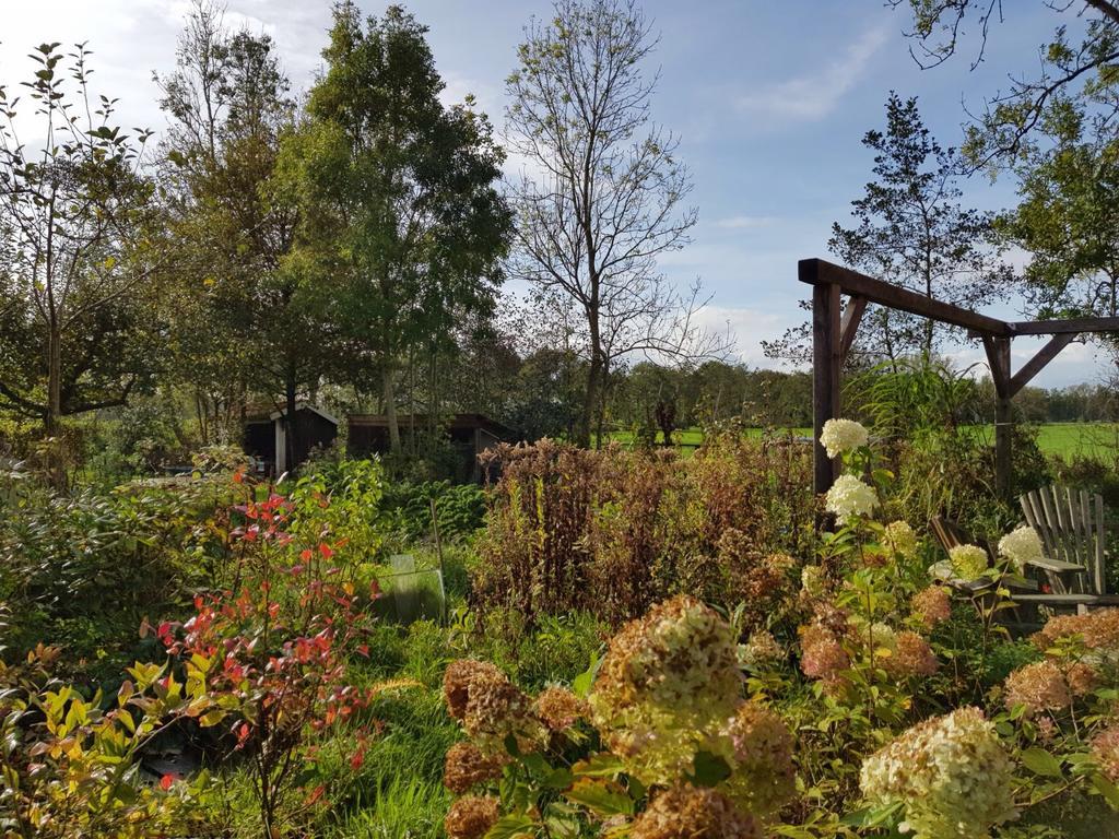 Bij En Boom Bed & Breakfast Drachten Eksteriør billede